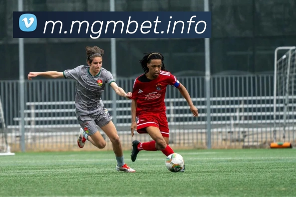 未来规划